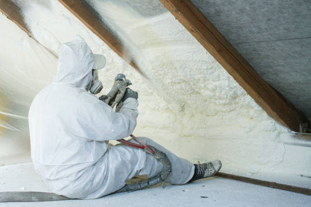 Best Crawl Space Insulation  in USA